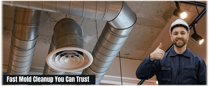 Air Duct Mold Removal in Garland